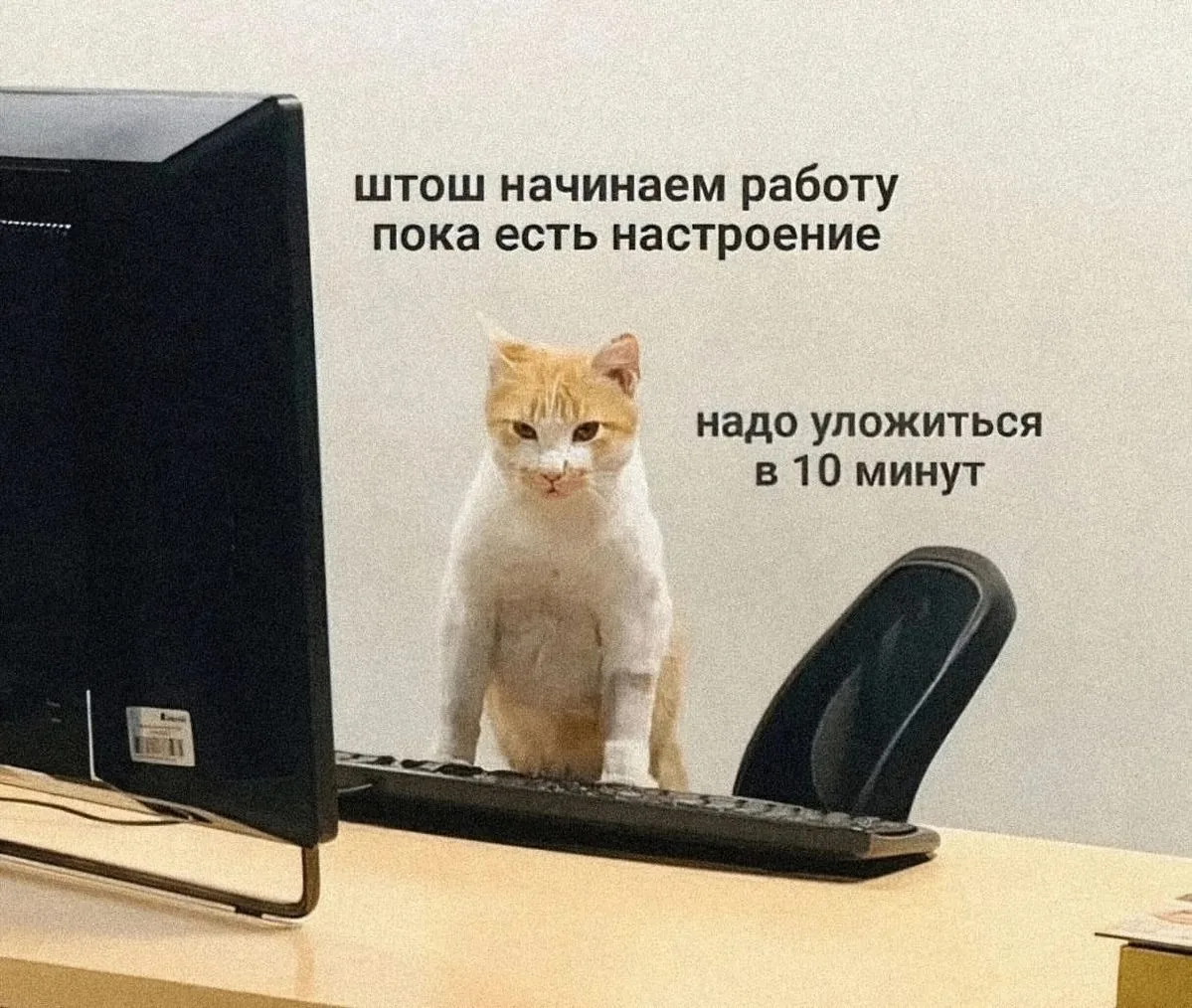 Доброе утро, Пермь! ☀️

Погода сегодня: облачно, днём до +22 °С.

Подписаться на канал