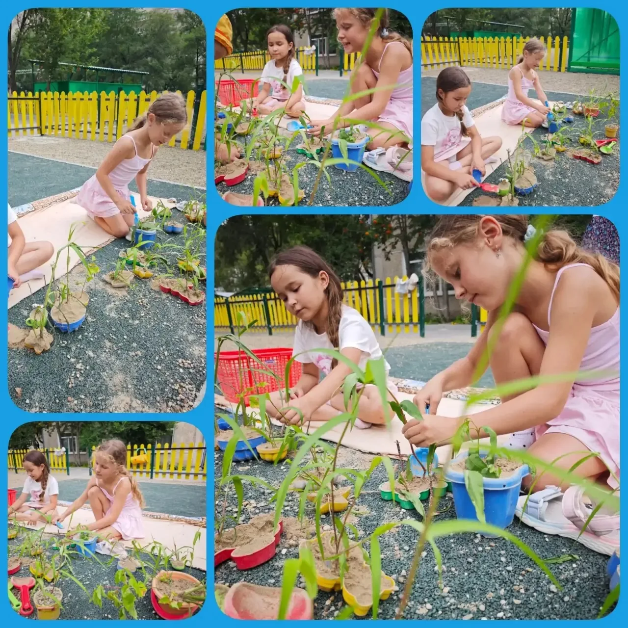 🌱 Летом на прогулке играем в «Сад-огород» 🥕🫜🪏