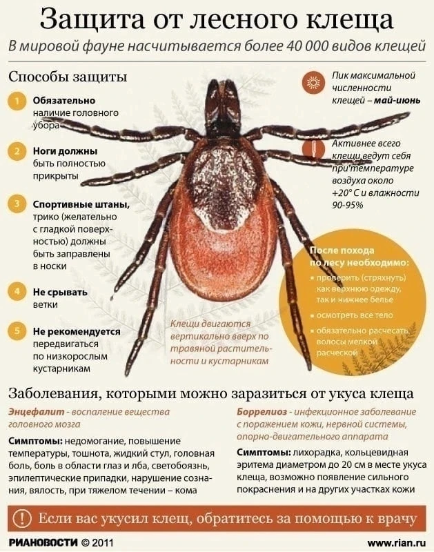 БЕРЕГИТЕСЬ КЛЕЩЕЙ ‼️‼️‼️