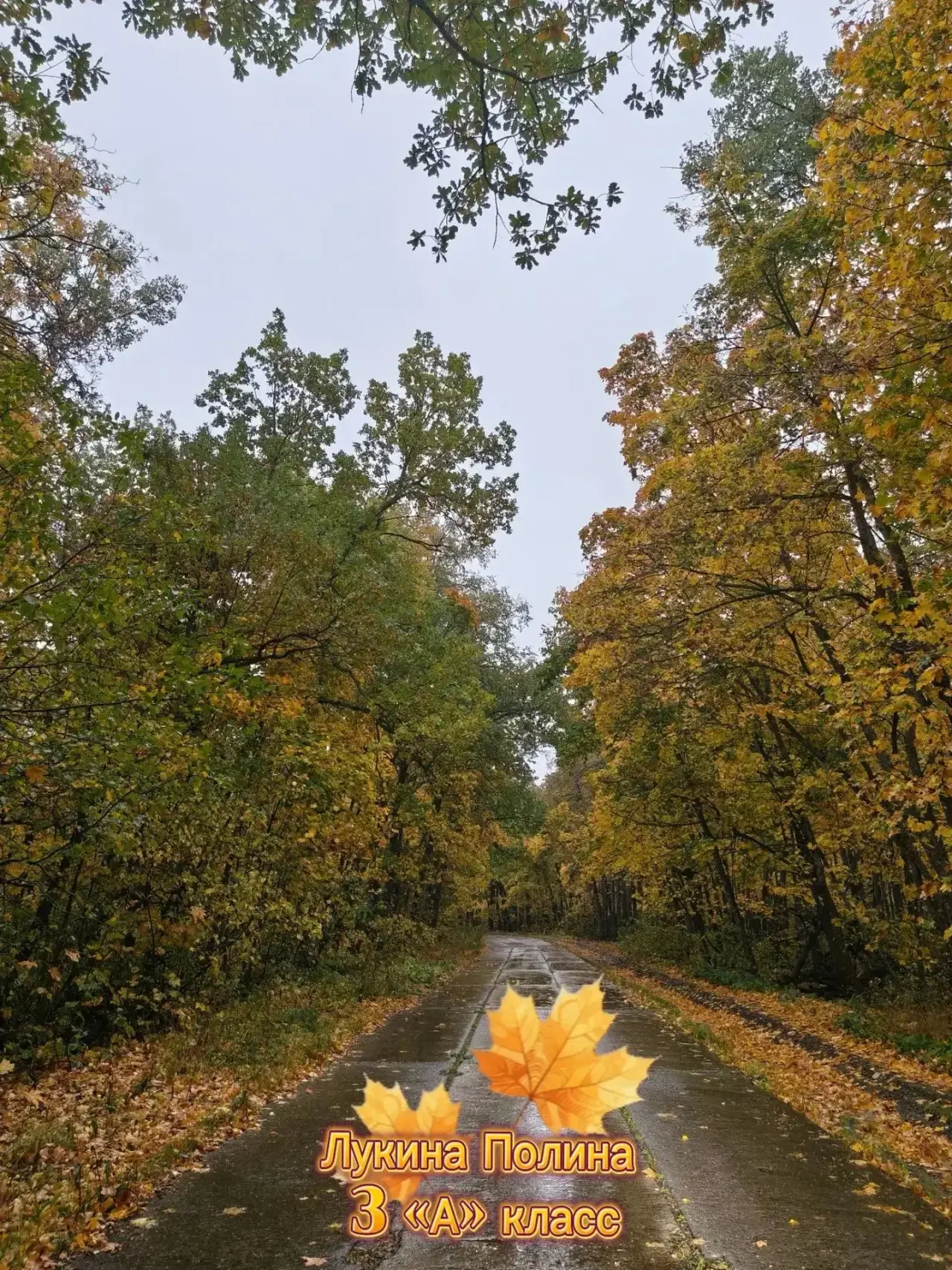 📸 ОСЕНЬ ГЛАЗАМИ НАШИХ РЕБЯТ