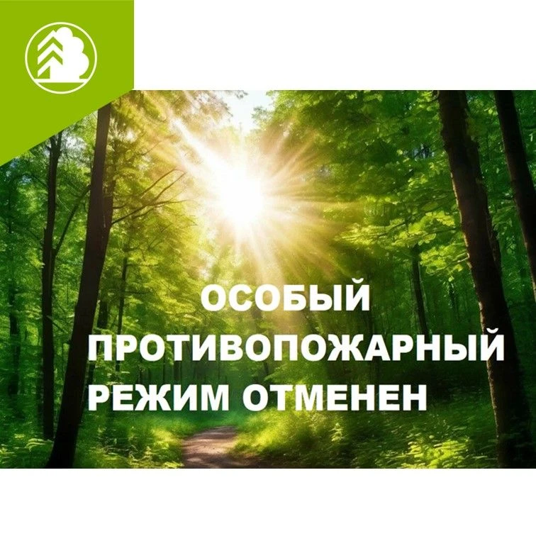 Хорошие новости: ОСОБЫЙ противопожарный режим в ЕАО ОТМЕНЁН!👏