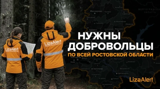Таганрожцев приглашают присоединиться к поисковому отряду «Лиза Алерт»