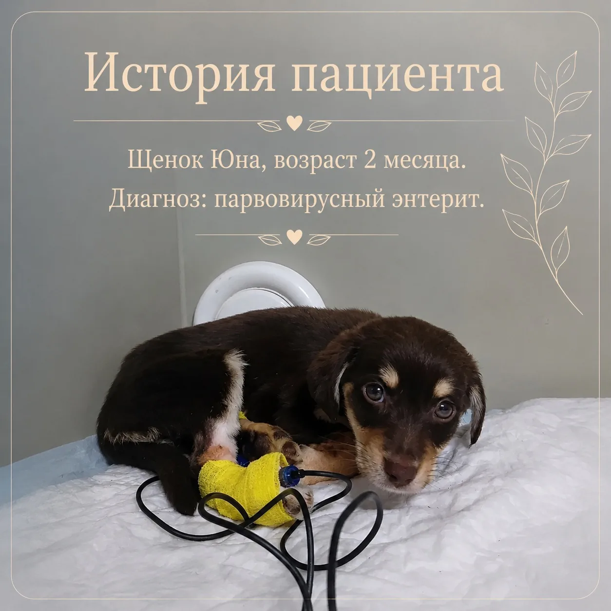 История пациента