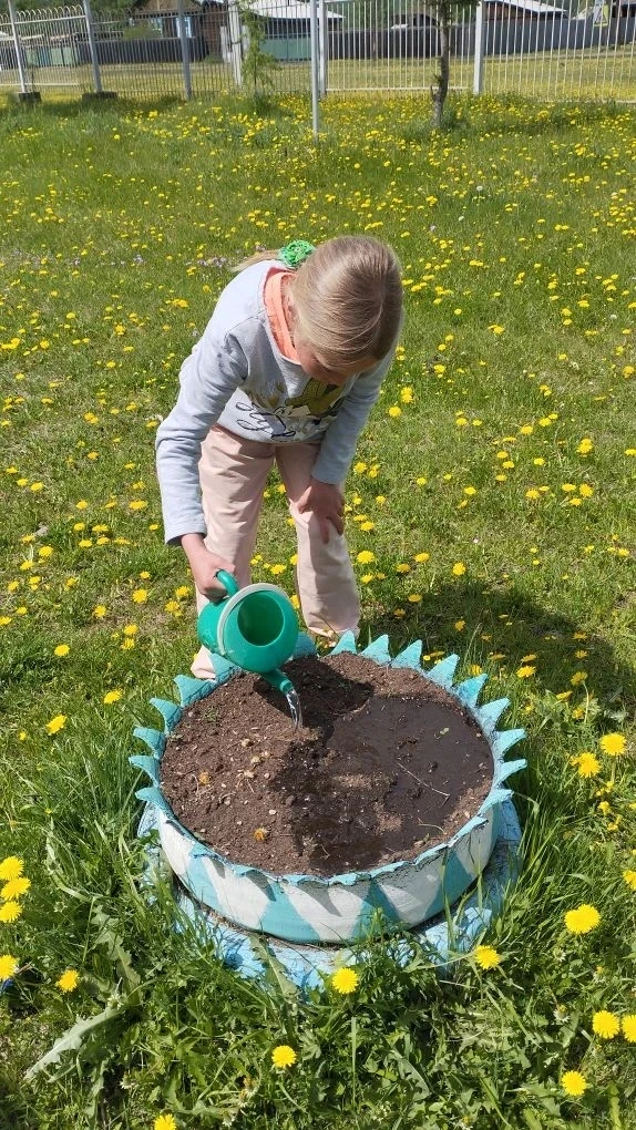 🌱  11 июня  пришкольном участке кипела работа: вместе с ребятами высадили цветы! Бархатцы, петунии 