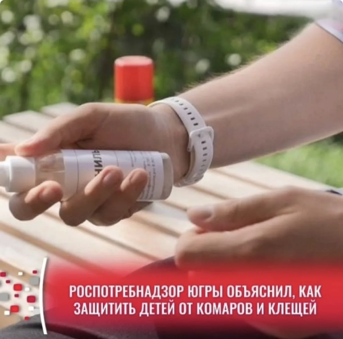 Комары, мошки и клещи доставляют не только дискомфорт, но и могут быть переносчиками опасных заболев