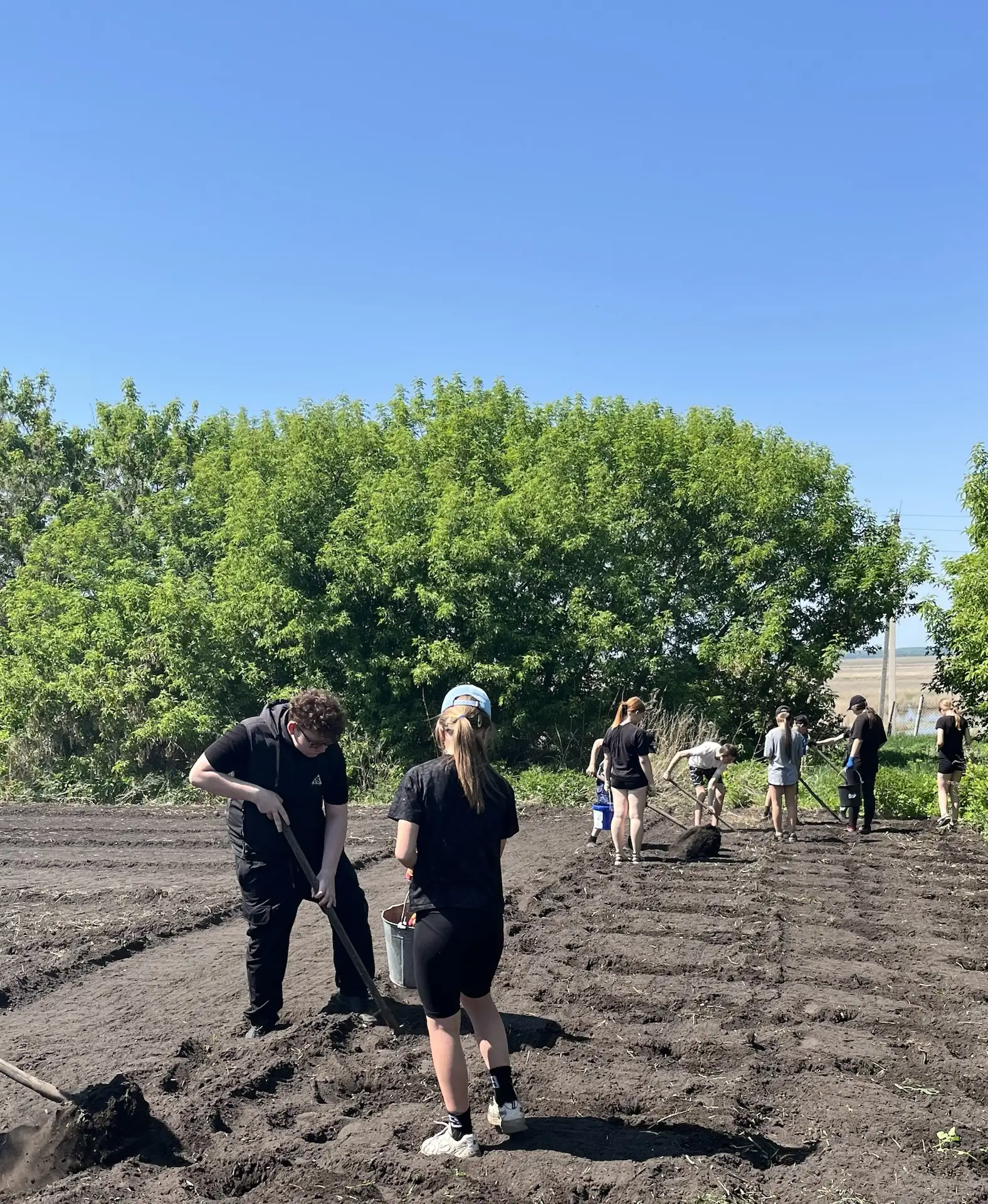 🥔 В нашей школе стартовала традиционная посадка картофеля 🥔