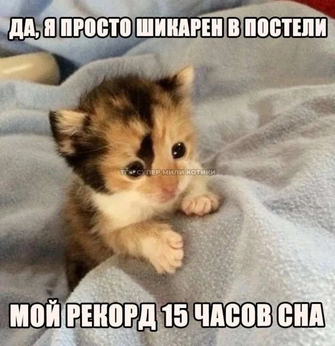 Картиночки от Фимочки