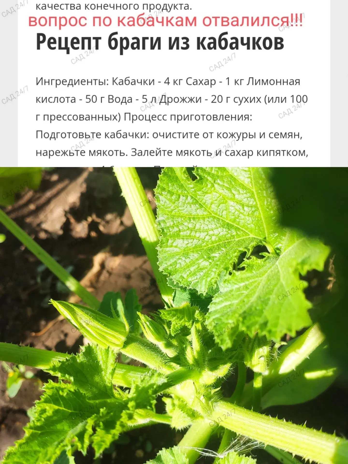 И так!!! На подходе второй урожай😂😂😂