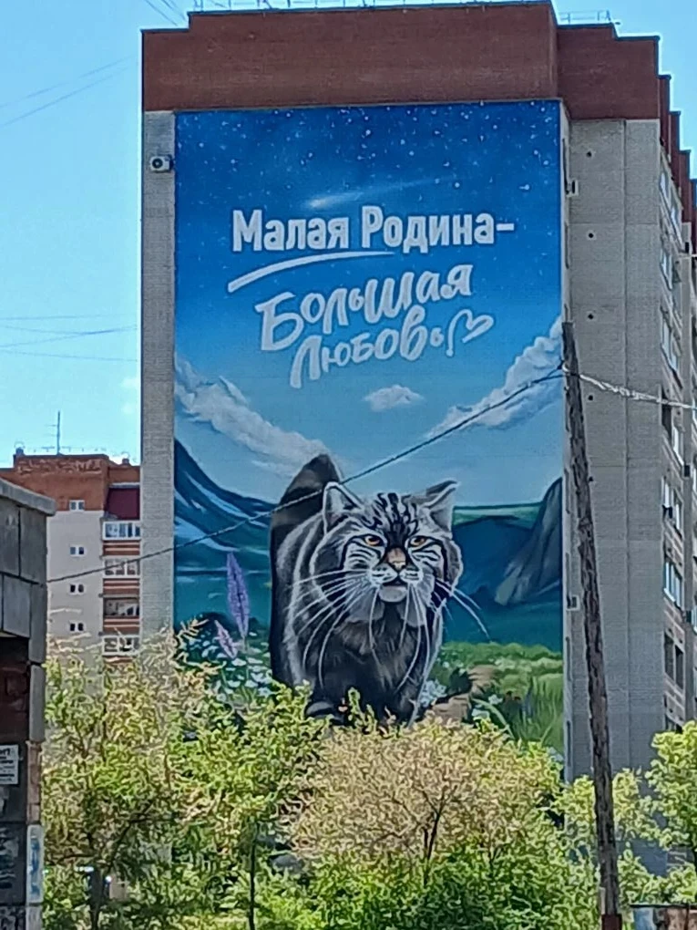 ✅ Мурал с изображением Забайкальского кота - манула создали в рамках конкурсной программы Горнорудно