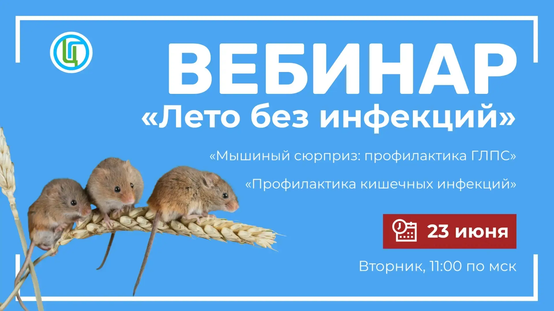Вебинар «Лето без инфекций»🦠☀️

Уже завтра наш Центр проведет вебинар «Лето без инфекций», где буду