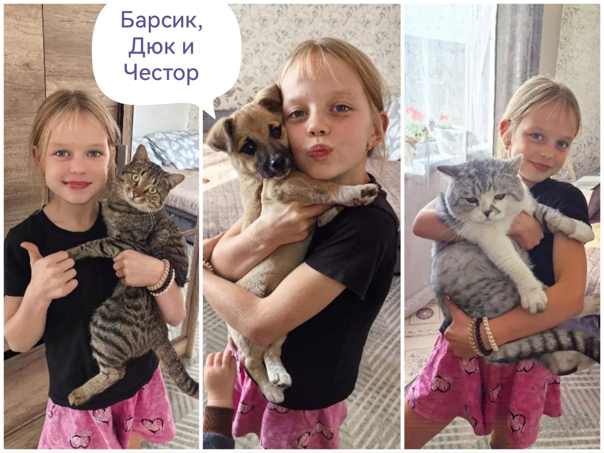 #ЯиМоиПитомцы#