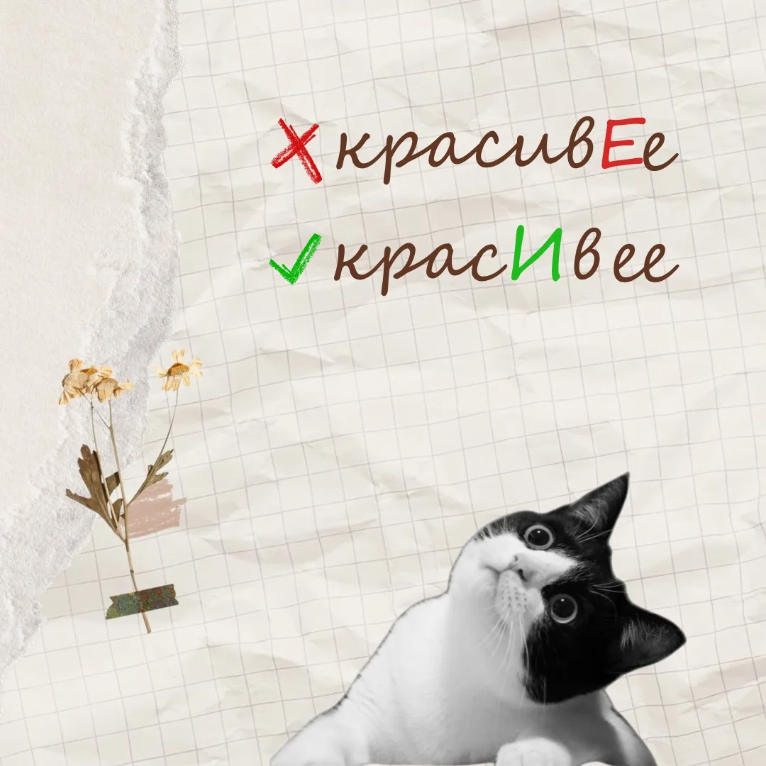 ⚡️Ударения, которые больше не будут проблемой  Знакомо, когда ребёнок говорит «звОнит» или «тортЫ»? 