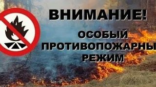 С 10 апреля в Сыктывкаре вводится особый противопожарный режим