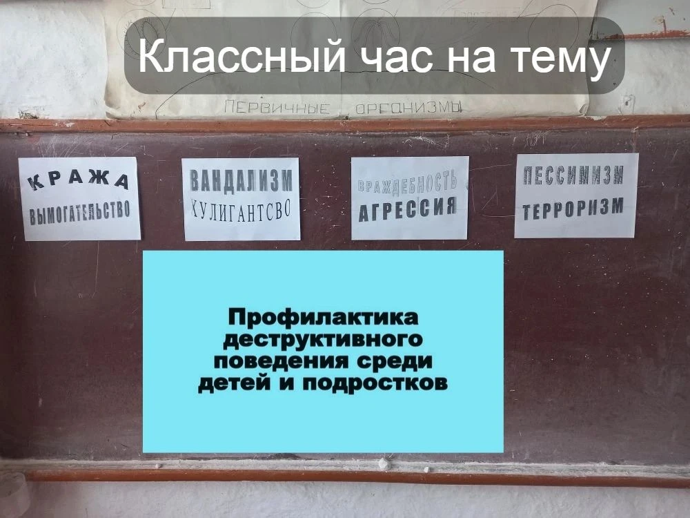В  школе прошли классные часы для учащихся  7–11 классов, посвящённые  профилактике деструктивного п