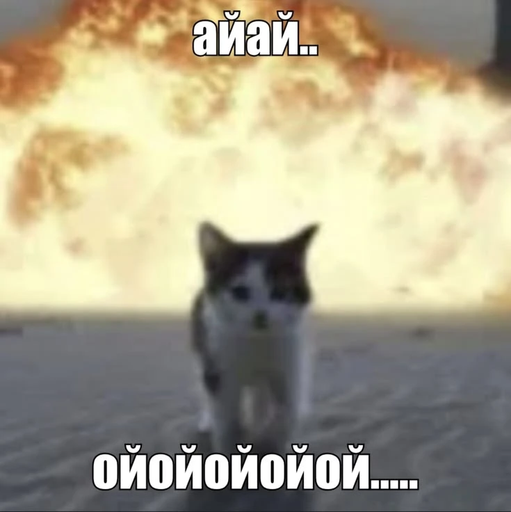 Подборка от подписчика №6