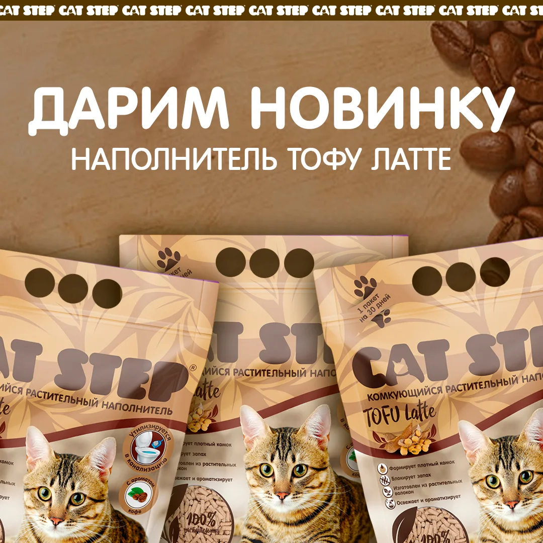 ☕Дарим CAT STEP Тофу Латте☕