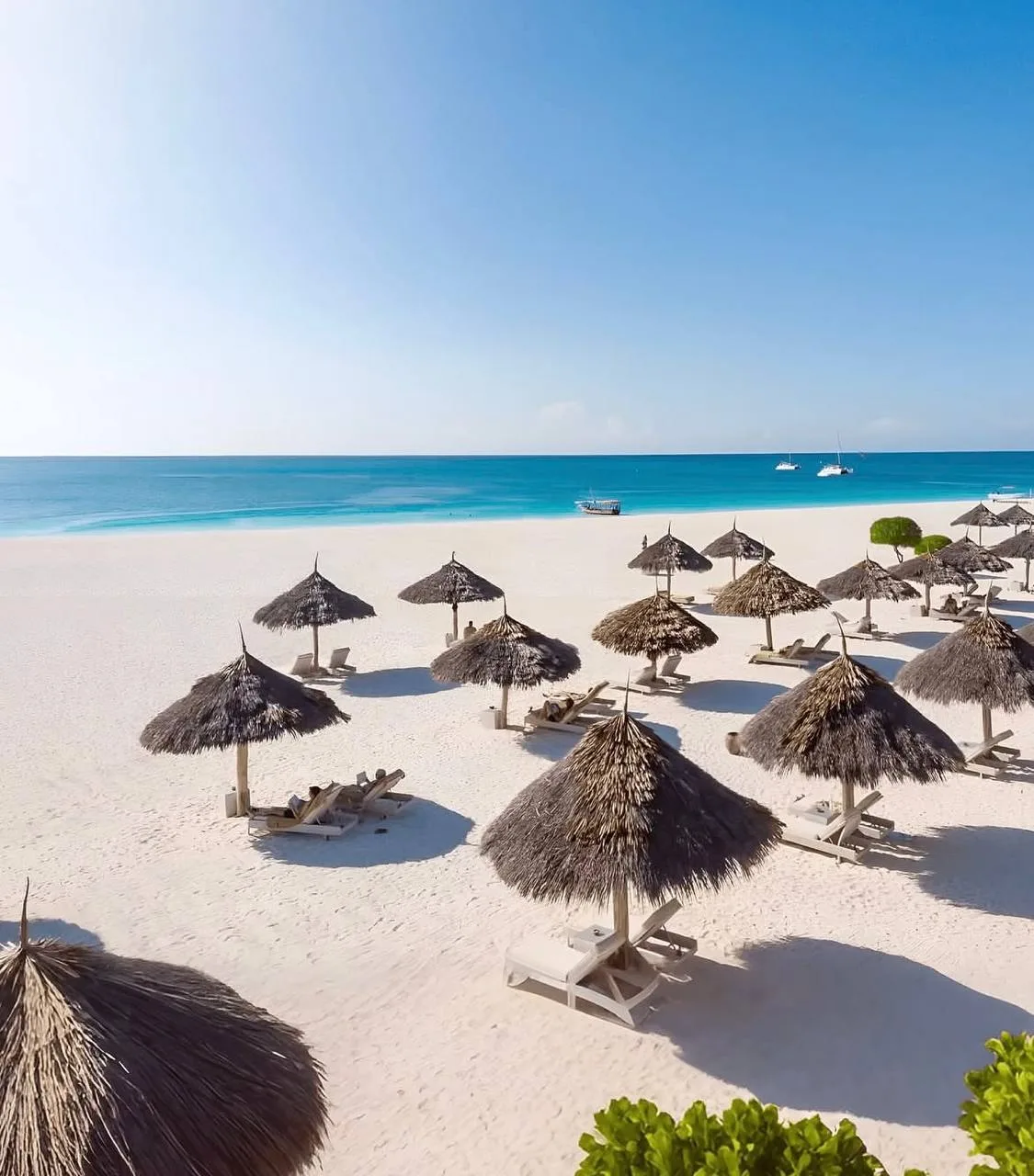 🏖Занзибар из Москвы
✈️вылет 21.07 на 13 ночей
✔️цены на 2-х

🔆Tropicana Kendwa Beach 3* завтрак = 