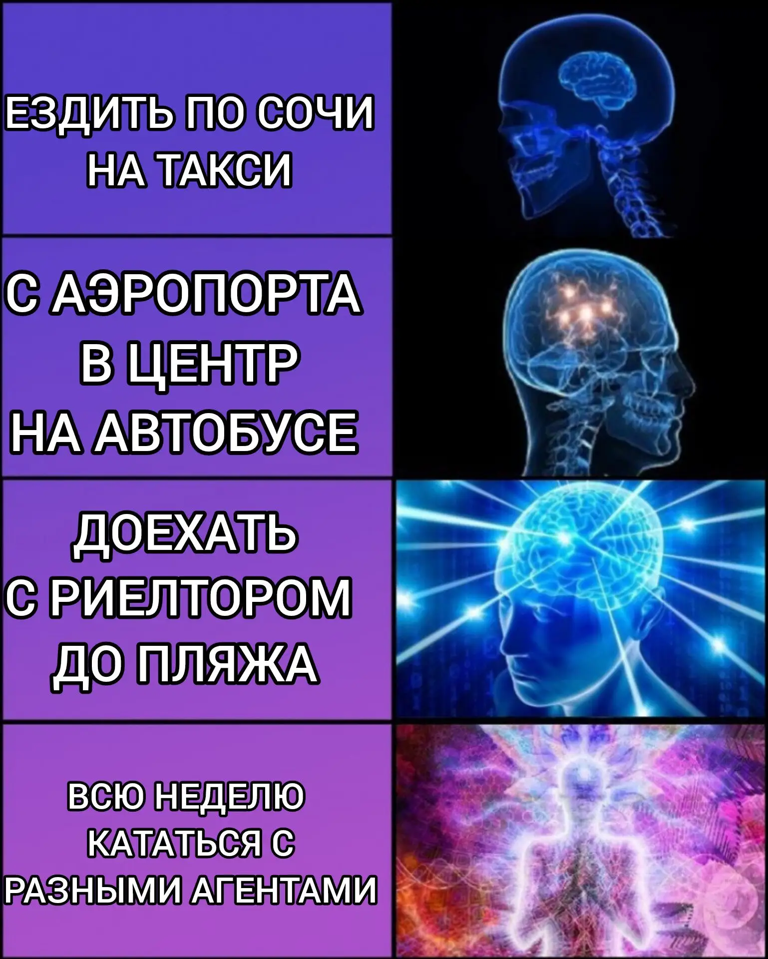 🧠Ушлые туристы путешествуют по Сочи бесплатно: сверхразумы записываются на просмотры д...