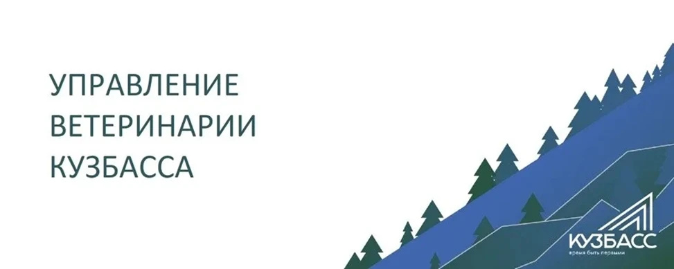 В Кузбассе завершено формирование нормативной базы, необходимой для развития ответствен...