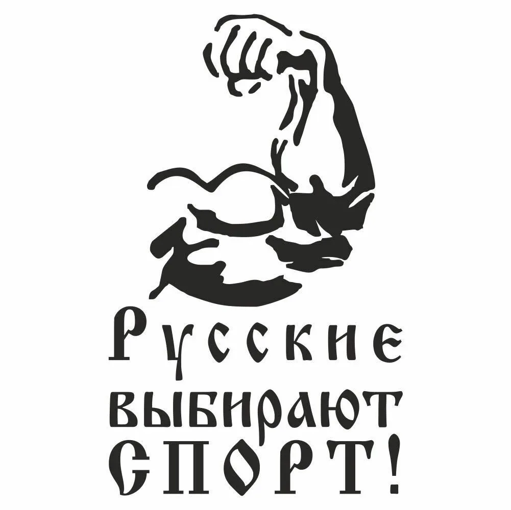 Дорогие соратники!