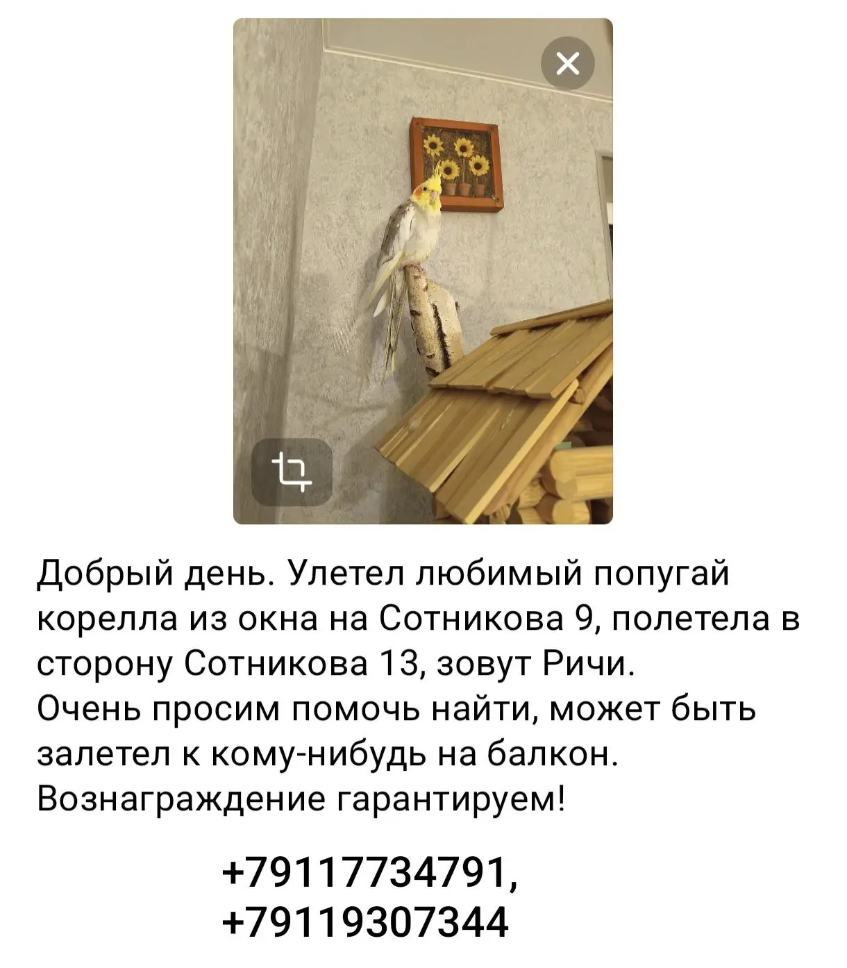 🔺 ПРЕДЛОЖИТЬ ПОСТ 🔺