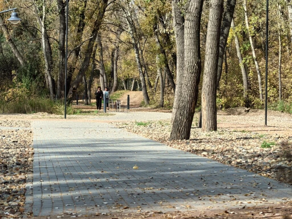 🌤 Погода в Рубцовске и Алтайском крае 1 октября