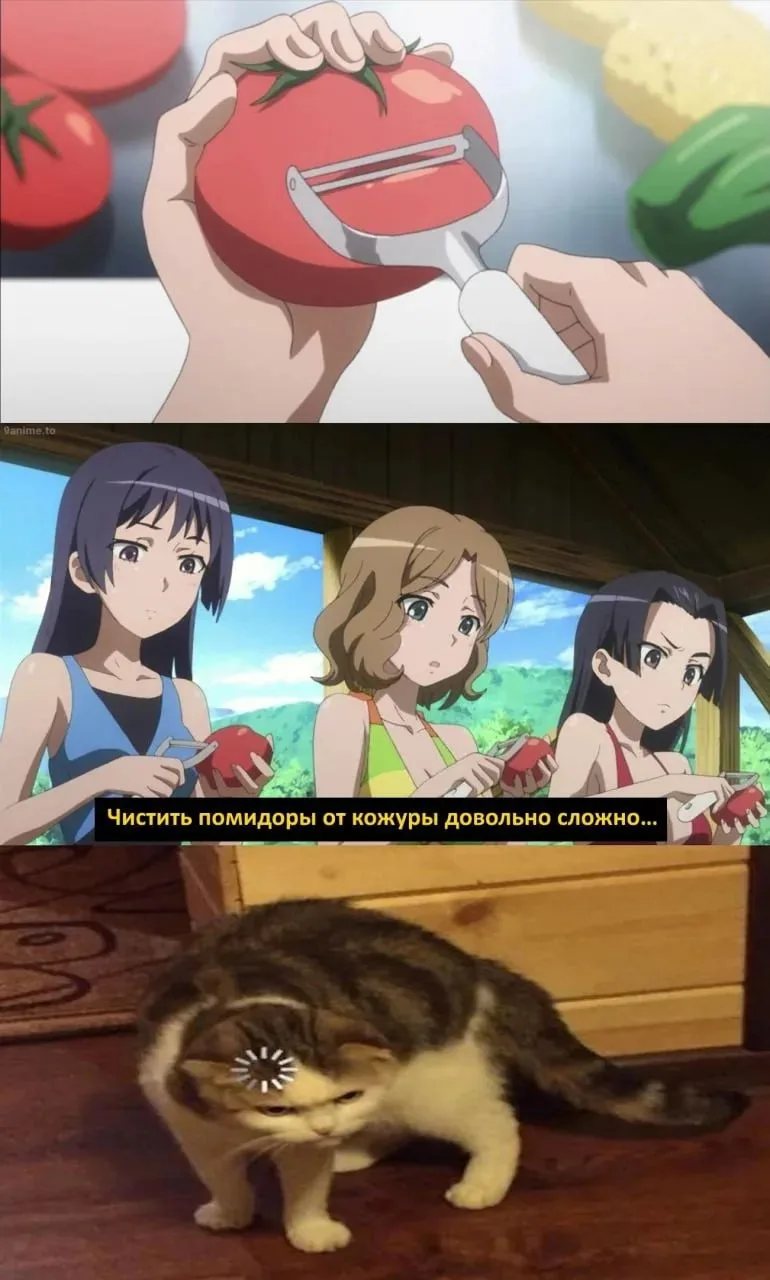 Другие наши каналы ❗