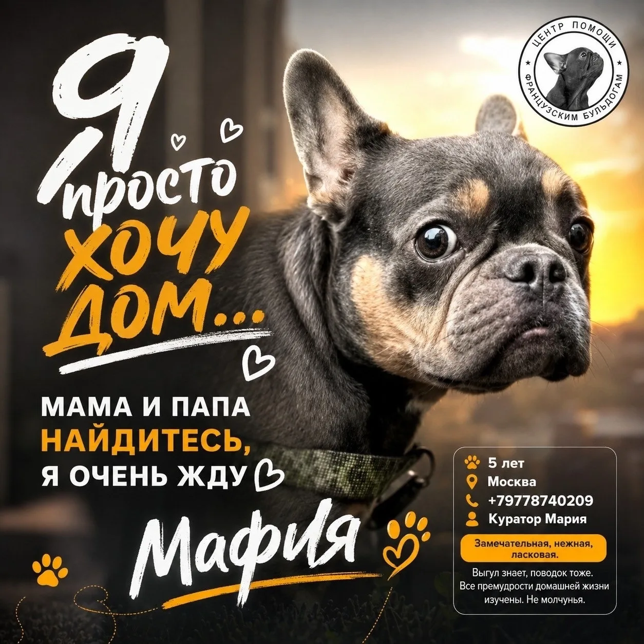 Как и большинство : хотели молодую, «чтобы не умирала, жила подольше, тяжело терять, не...