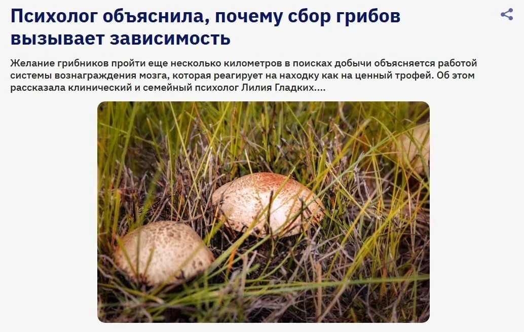 Грибники — скрытые лудоманы, каждый гриб даёт дозу дофамина, объясняют психологи.