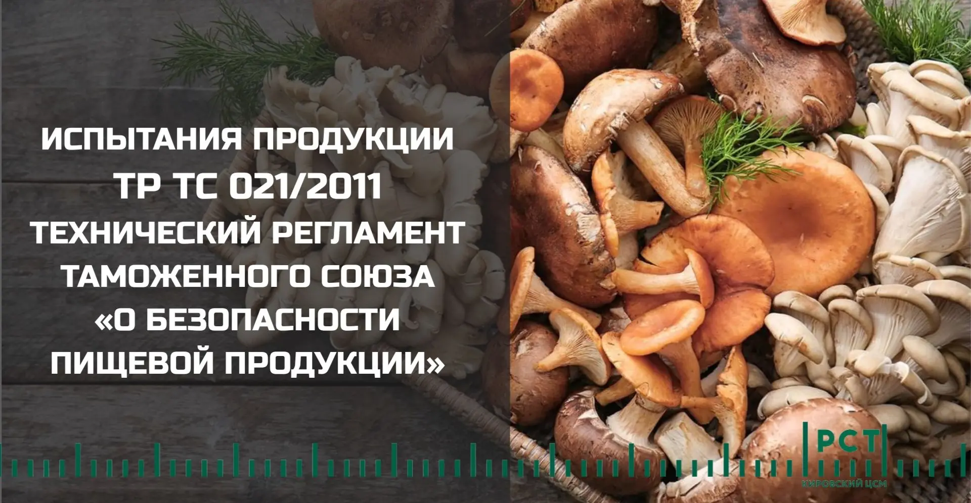 «Тихая охота» без риска: разбираемся в качестве и безопасности грибов 🍄‍🟫

🌤 На дворе - вторая по