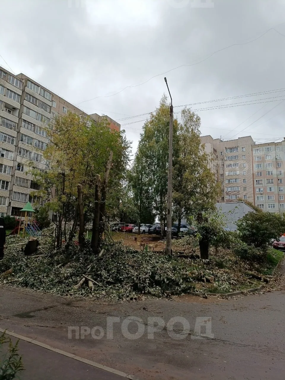 "Во дворе нашего дома было три тополя, они загораживали фонарь. Пришло оповещение в чат...