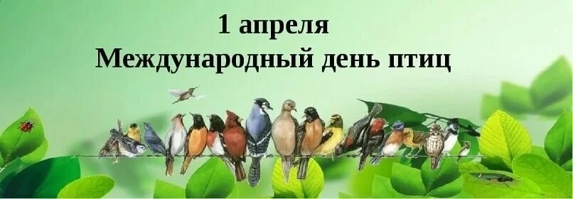 Ребята группы « Букваежка» сегодня отметили экологический праздник «Международный день ...