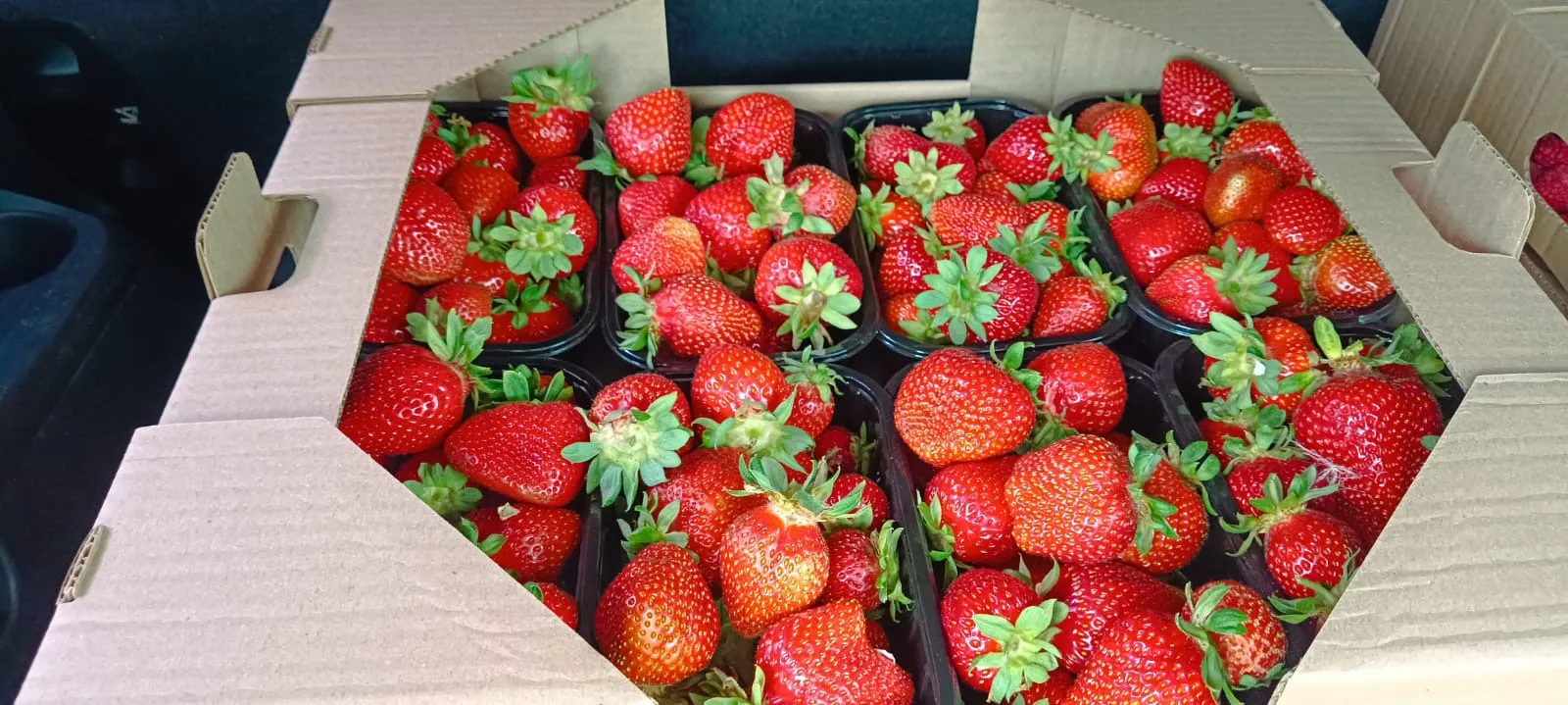 ‼️АНОНС ЗАВТРА ПРЕДЗАКАЗ НА СВЕЖУЮ КЛУБНИКУ!‼️ 🍓