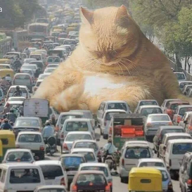 Новый ракурс