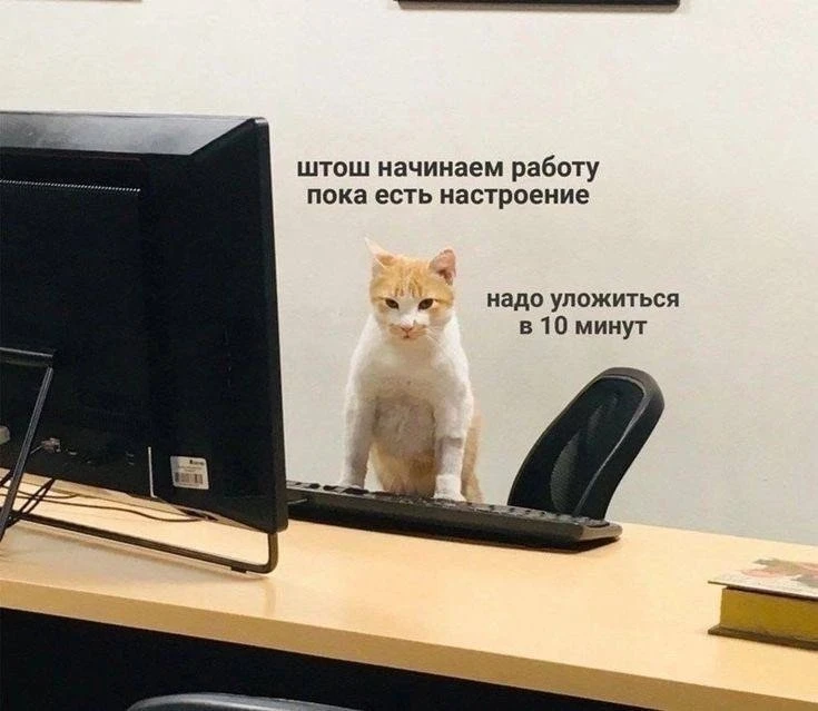 Лентяи — лучшие руководители, говорят психологи. Если грамотно тратить силы и находить ...