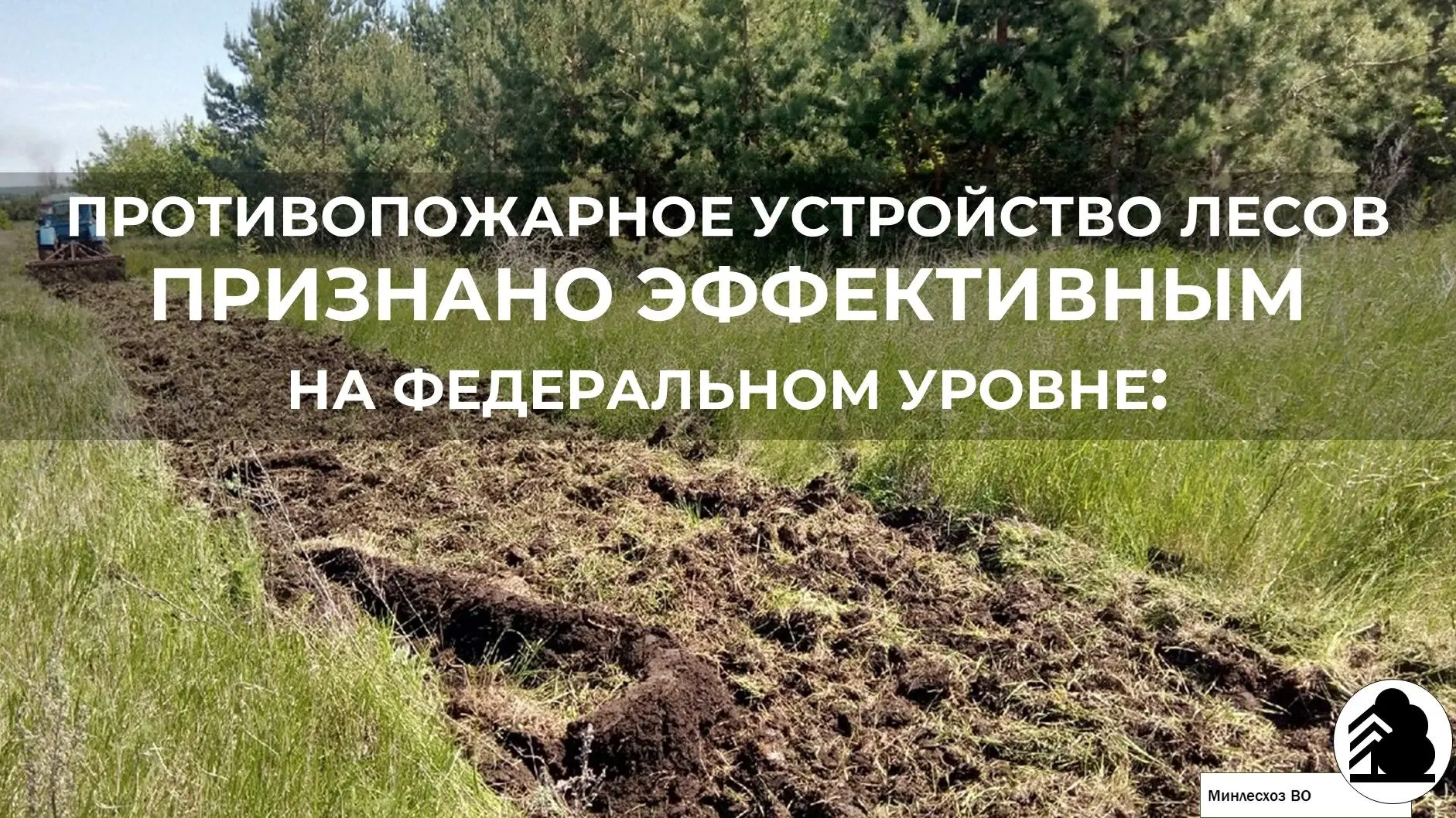 Департамент лесного хозяйства по Центральному федеральному округу завершил внеплановую ...