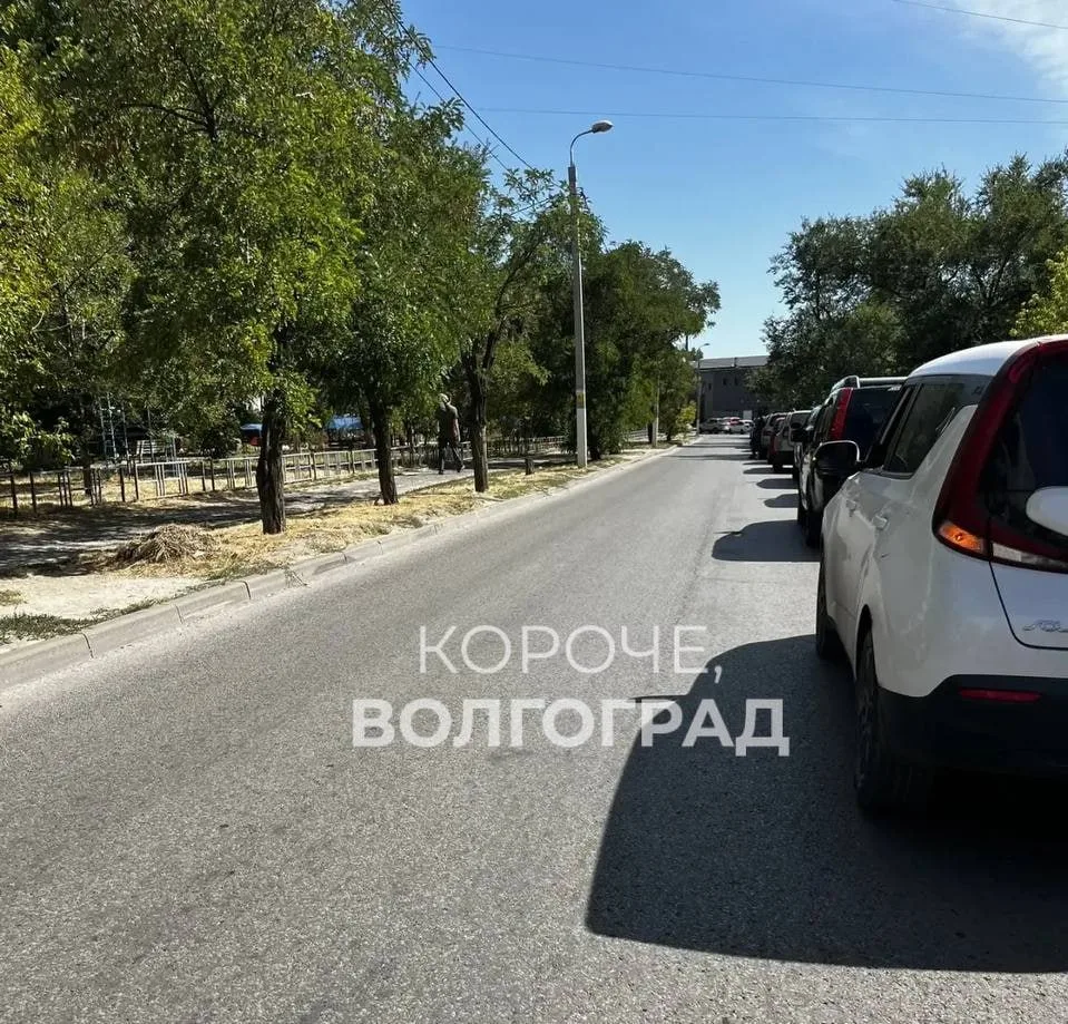 «Наметилась позитивная динамика»: чиновники прокомментировали ситуацию с топливом в Вол...
