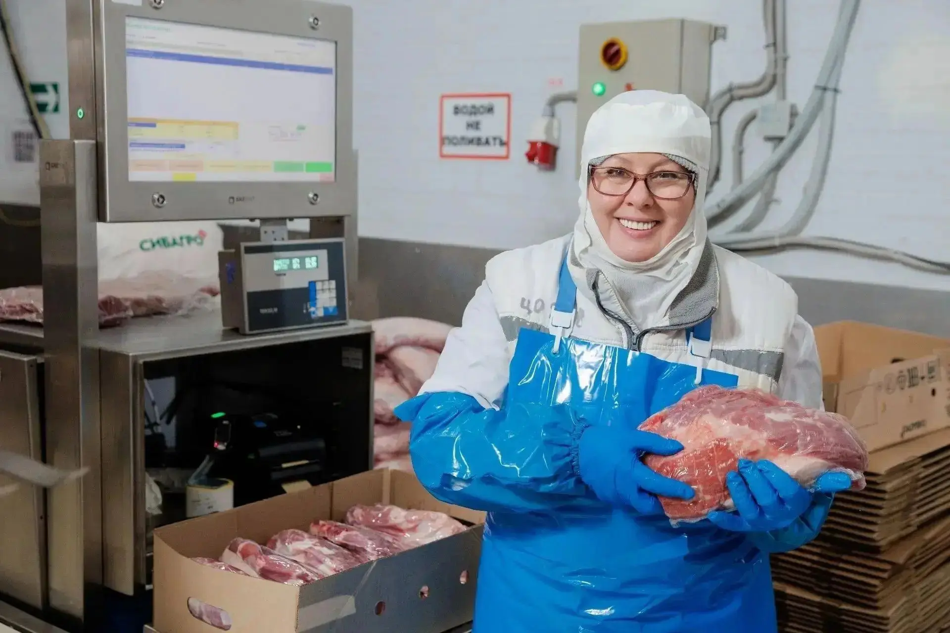 Чистогорский свинокомплекс «Сибагро» наладил системные поставки продукции в Казахстан и...