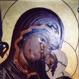 Молитесь Божией Матери и как можно чаще читайте  «Богородице Дево, радуйcя, Благодатная Марие, Госпо