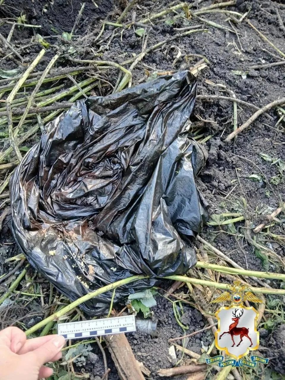 😱 Жуть из Гагинского района — 78-летний пенсионер зарезал знакомого и закопал у себя н...
