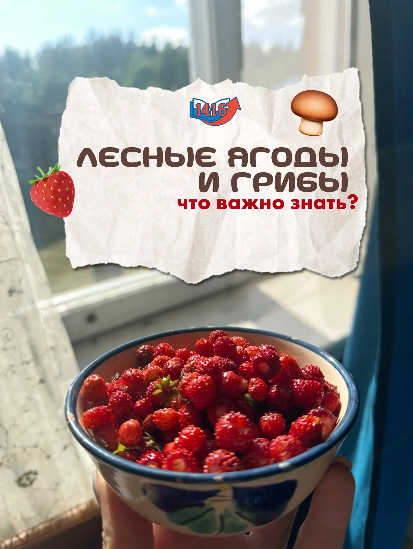 🍓🌲 Лесные ягоды и грибы: что важно знать?

Лето — сезон прогулок по лесу, ягод и грибов ☀️  
Но ва