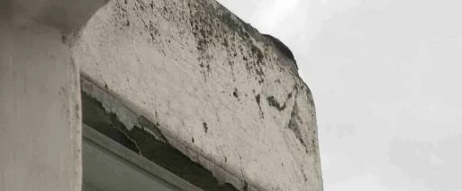 🏠 Птицы повредили крышу балкона на улице Грина