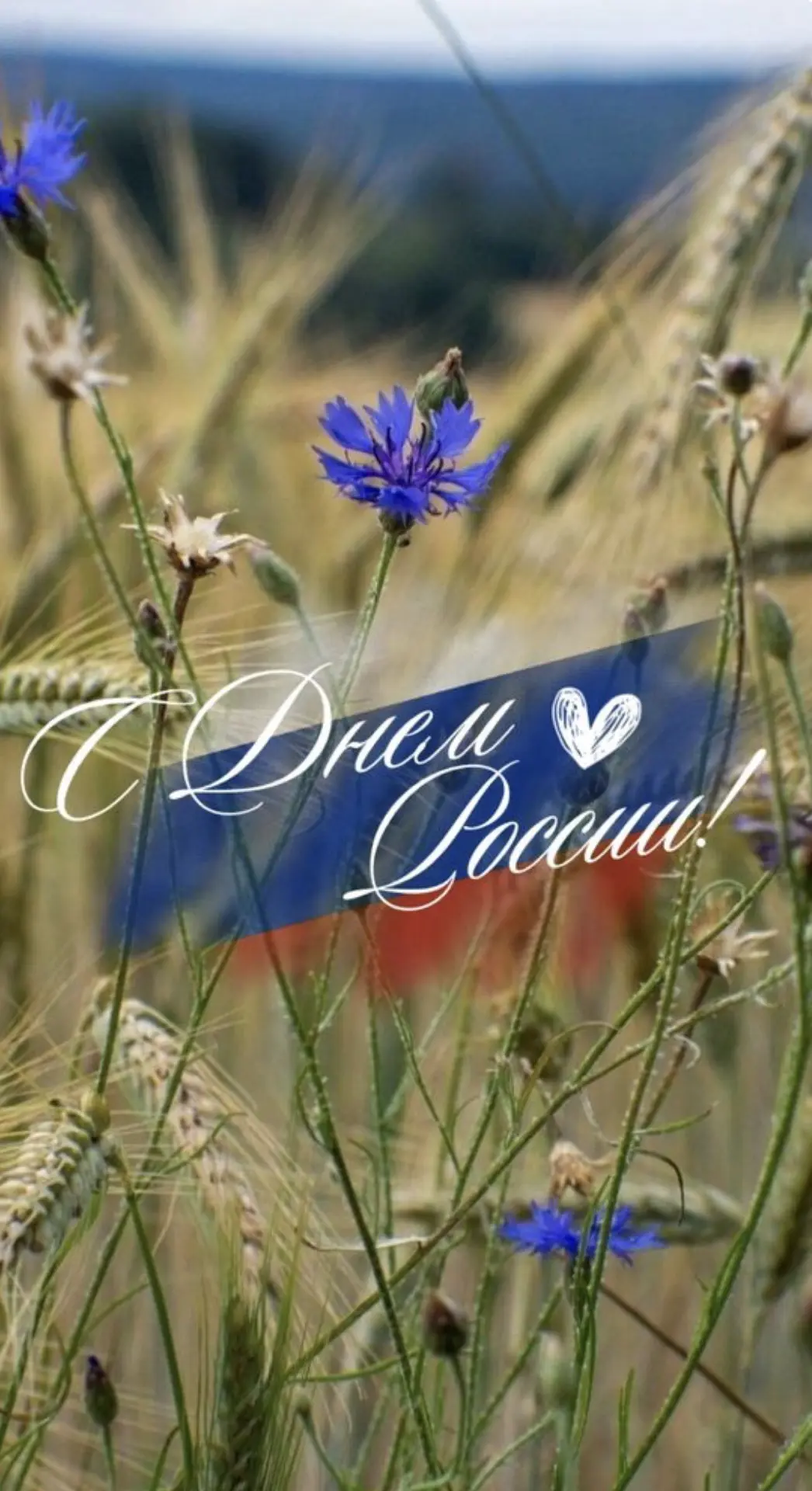 С Днём России, дорогие друзья! 🇷🇺

От всего сердца поздравляем наших воспитанников, их родителей и