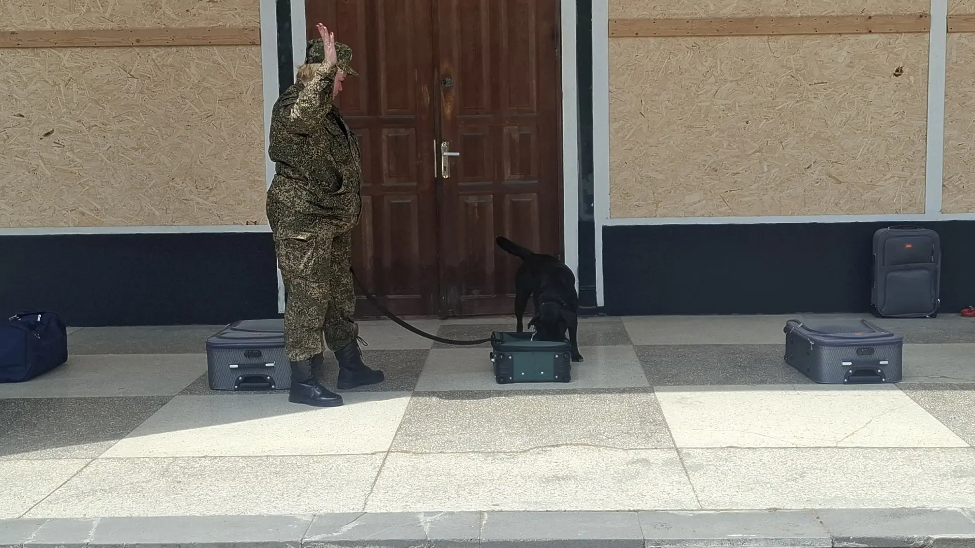 🚢 Экскурсия на Севастопольскую таможню: заглянули в будущее!

Наши десятиклассники вместе с навигат
