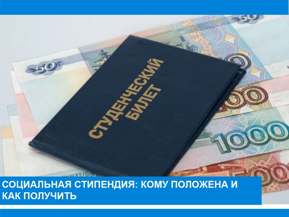 Социальная стипендия: кому положена и как получить