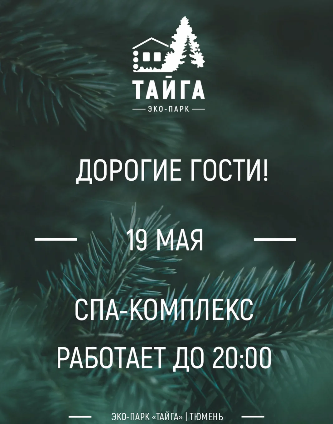 Дорогие гости SPA Тайга 🌊,