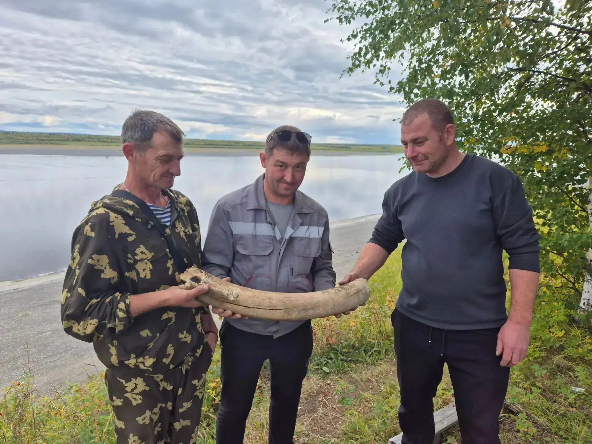 Бивень мамонта откопали в Туруханске