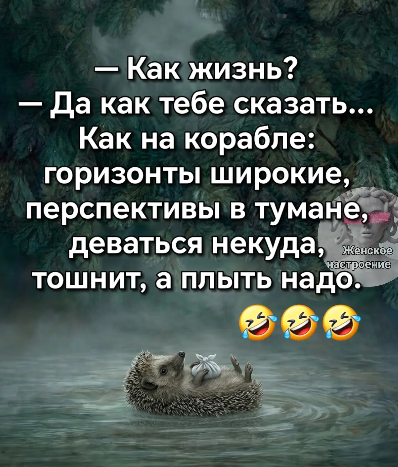 Краткое резюме моего текущего душевного состояния и планов на ближайшее будущее 🤭🤭🤭
