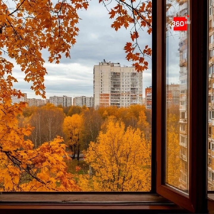 ☀️ На следующей неделе Подмосковье ждёт потепление