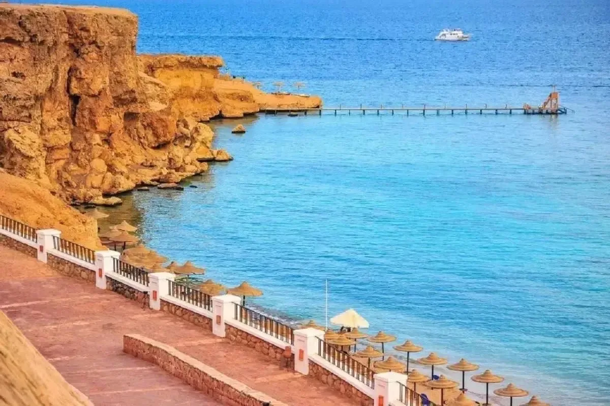 🇪🇬 Египет из Тюмени на 10🛌 👫 = 143.000 🧑‍🧑‍🧒 = 188.000 🧑‍🧑‍🧒‍🧒 = 252.000 🏩 Dive Inn Resort 4🌟(Шарм-Э
